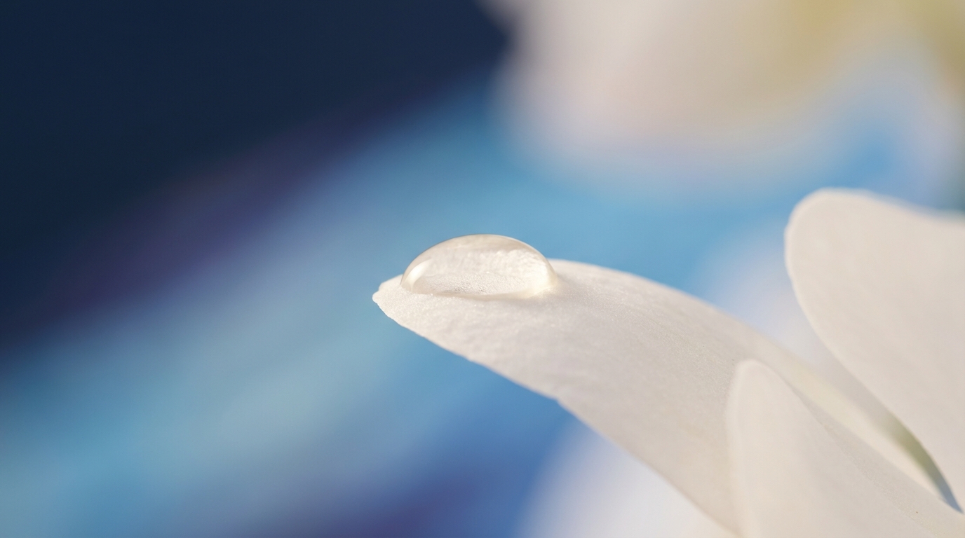 קלוזאפ של טיפת ג'ל צלול על עלה כותרת, מסמל את הפתרון העדין והמדעי של קסימינל