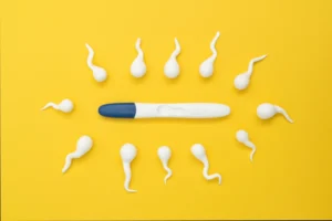 Sperm fertility